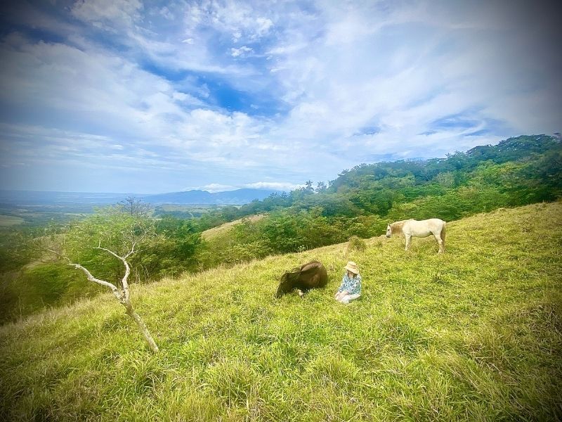 Permission to rest — practicing the pause