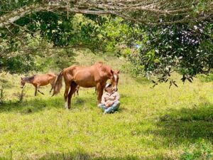Tips for Building Trust with Horses