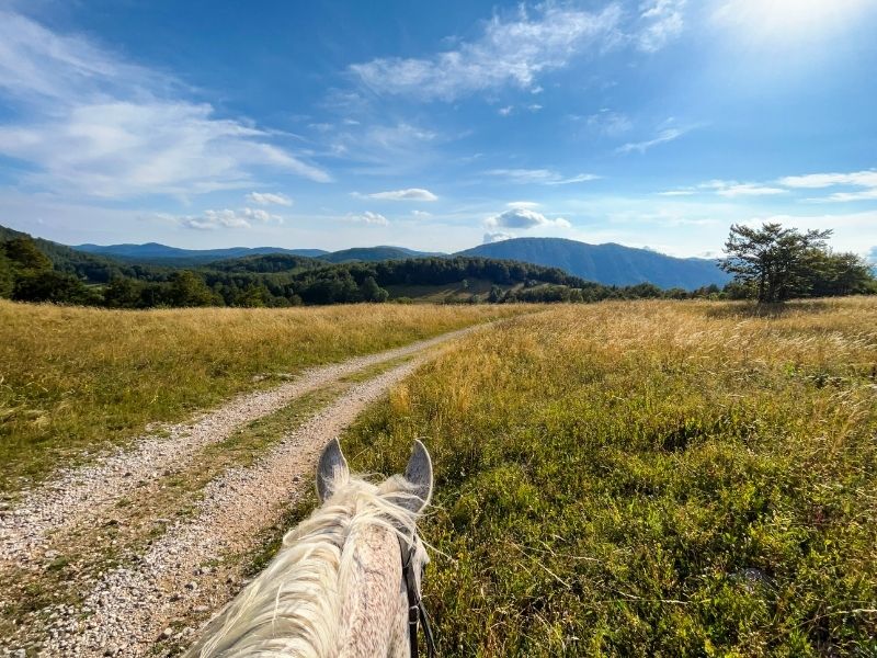 Grounding exercises inspired by the ranch. Tula Vida