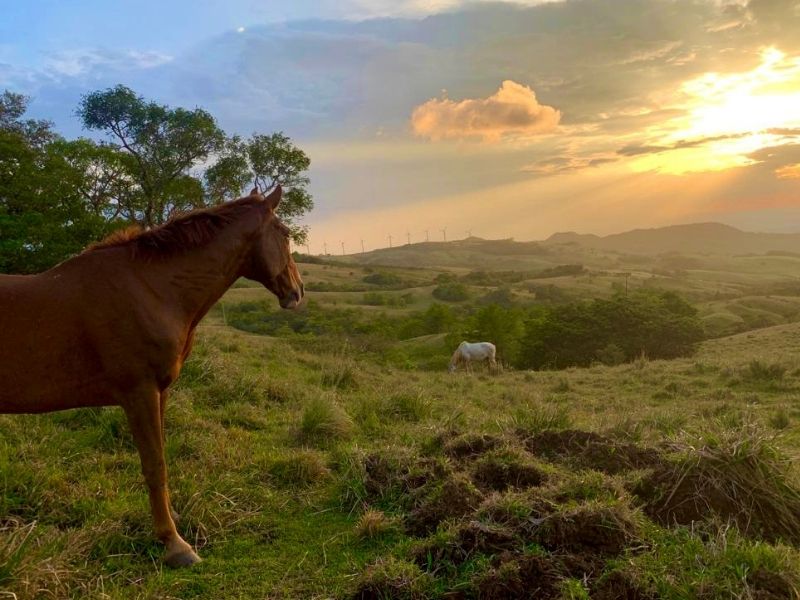 When “doing” got you this far—but now it’s just too much. Tula Vida