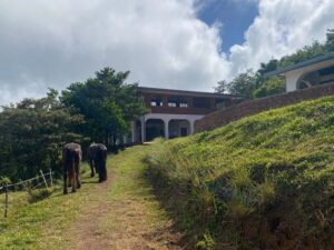 Can curiosity replace self-judgment? Tula Vida