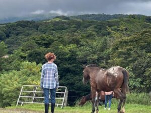 What is co-regulation? (and how horses do it without words) Tula Vida