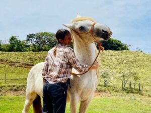 Why is talking not always enough to heal chronic stress? Tula Vida