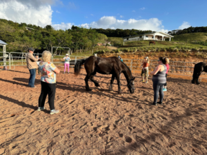 What to expect at an equine wellness retreat